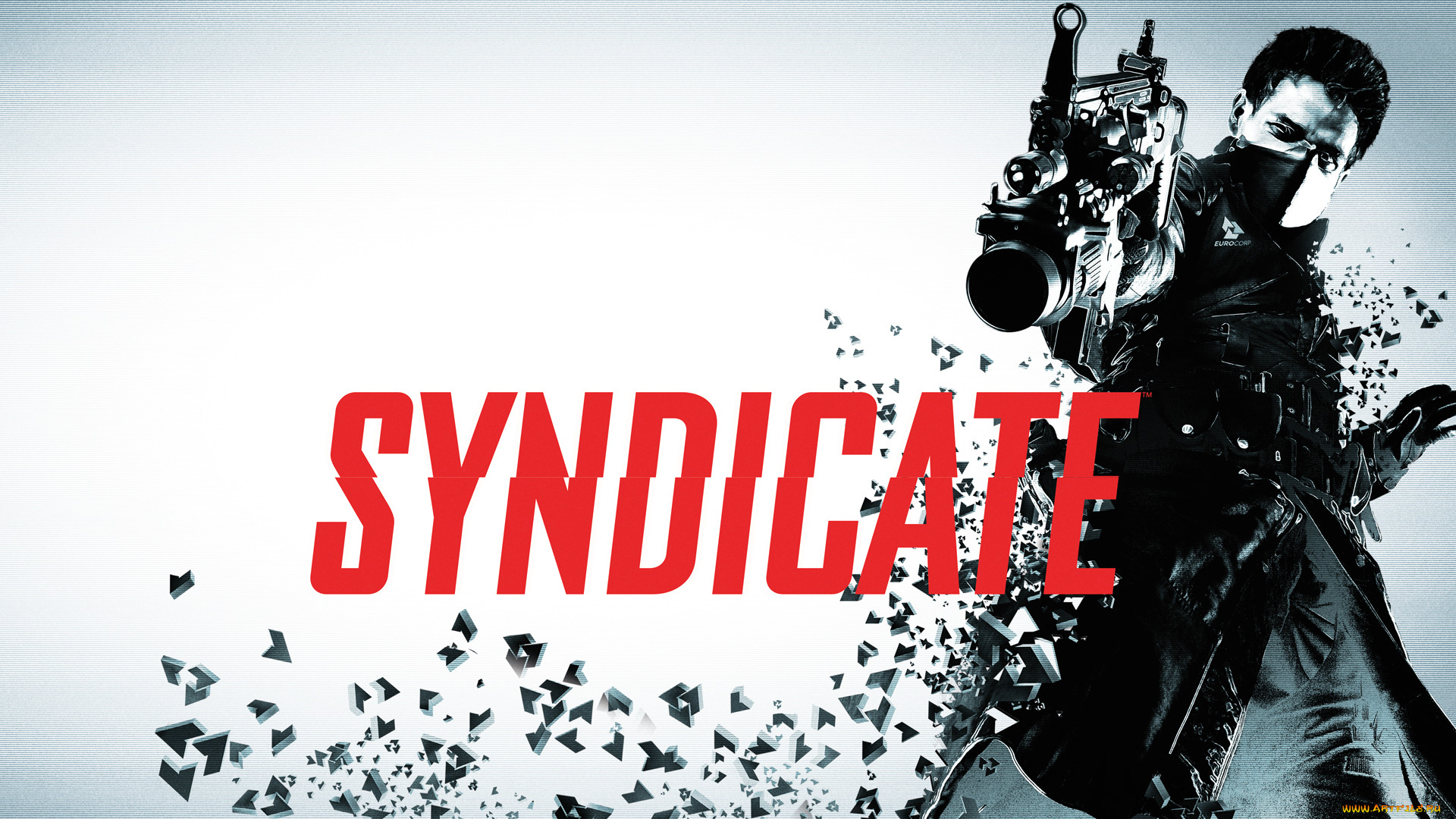 , , syndicate